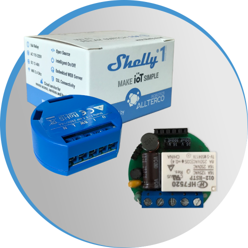 Shelly 1